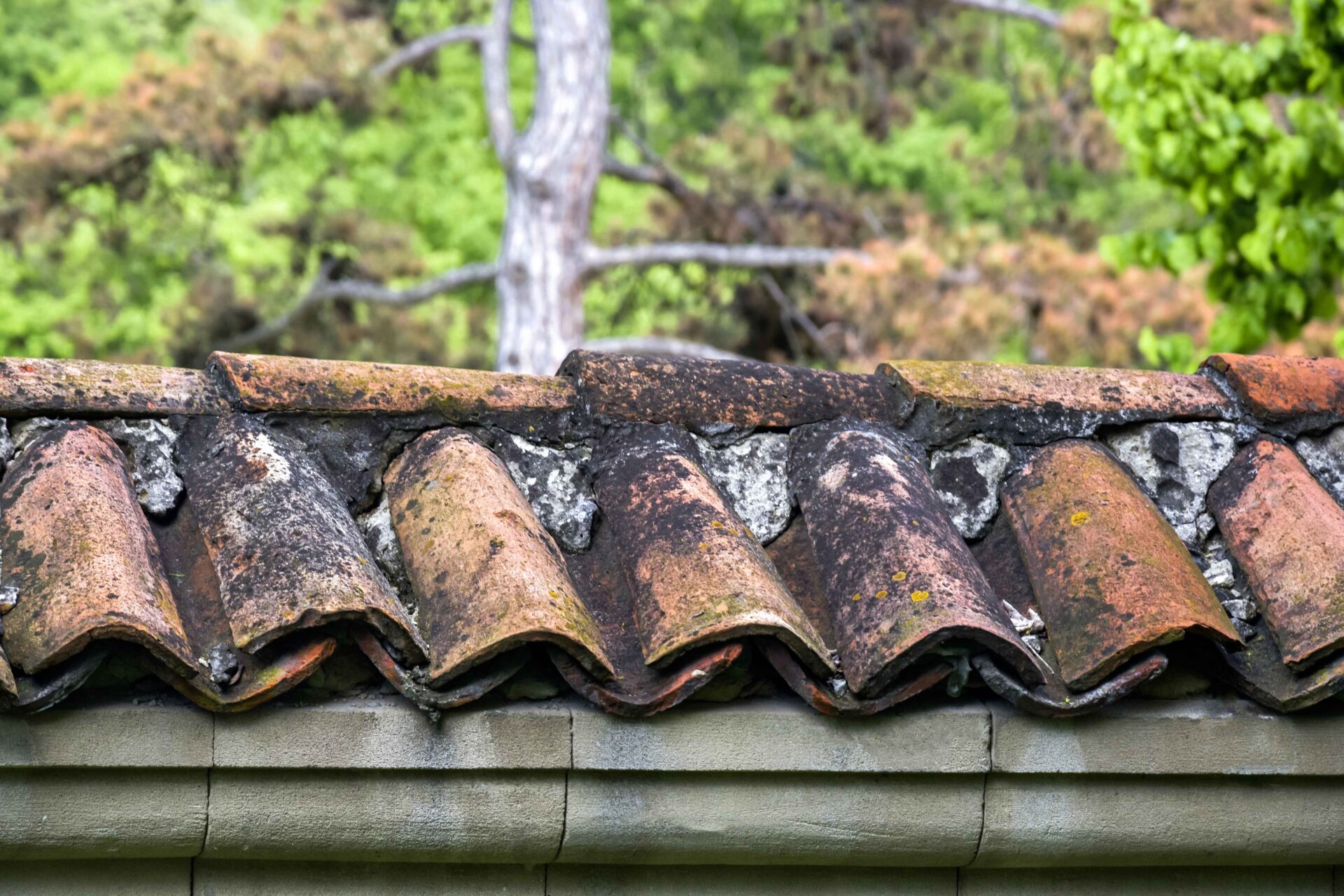 old and damaged roof