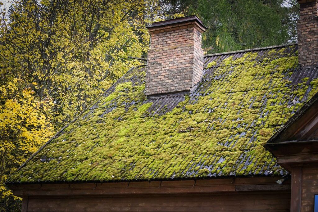 the-roof-surface-of-the-house-is-overgrown-with-moss