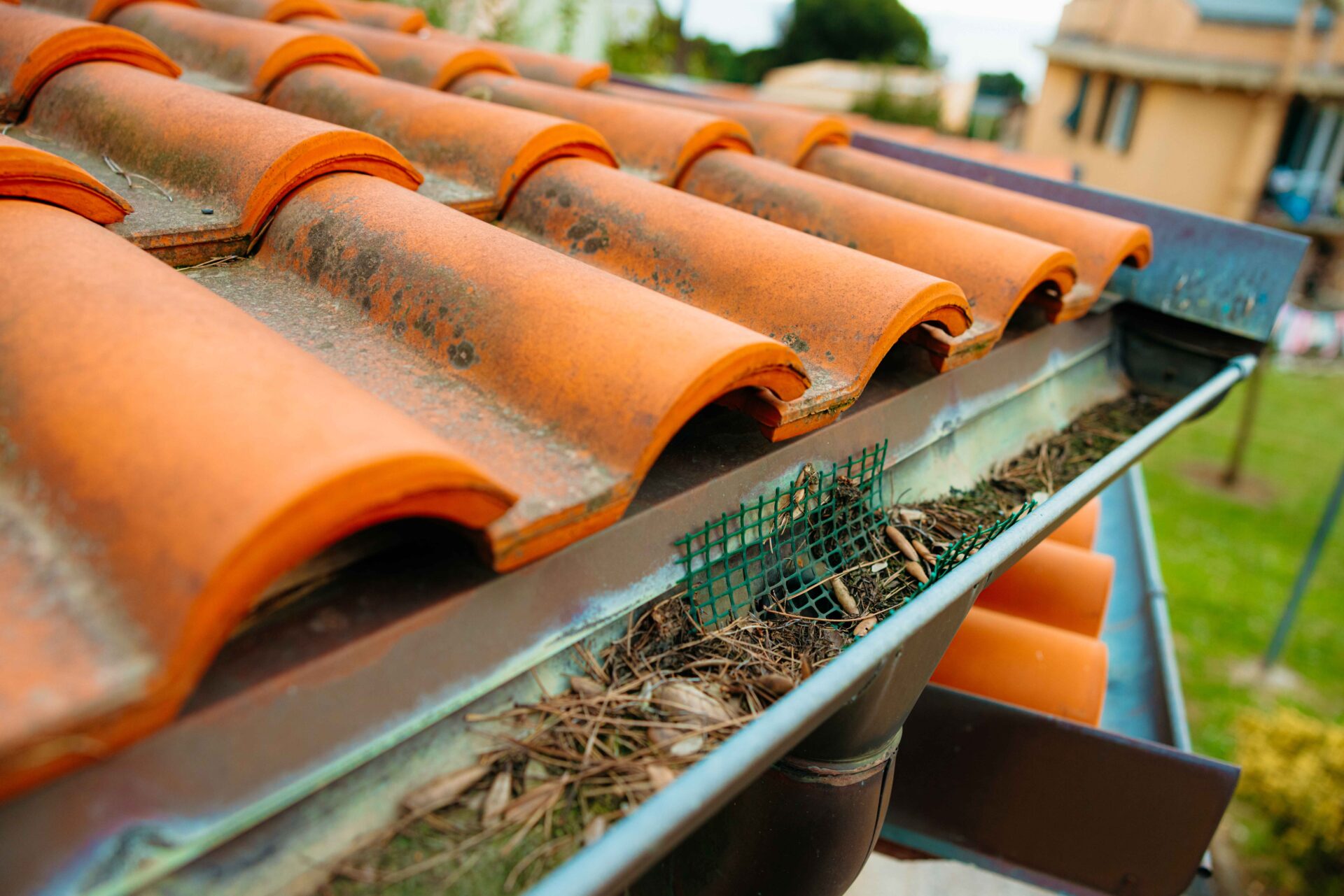 Clogged gutter with dry leaves and pine needles