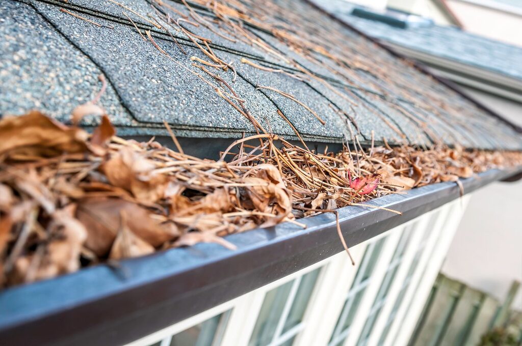 clogged_gutter_cleaning_cleanandclearmn.com_