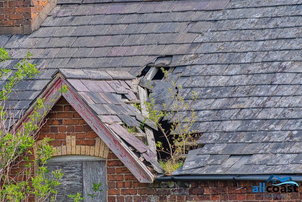 roof damaged by a tree