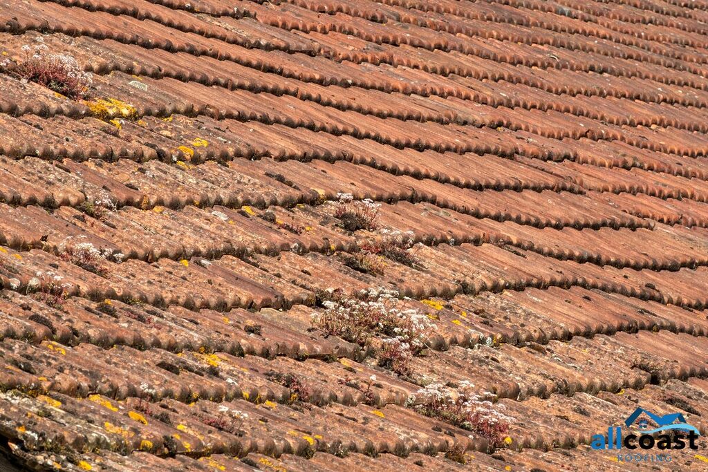 sagging roof