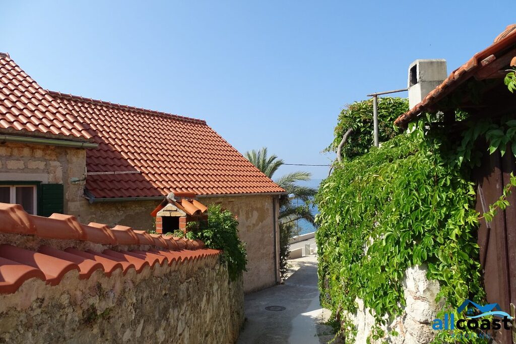 roof during spring season