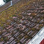 moss on a roof of a residential house