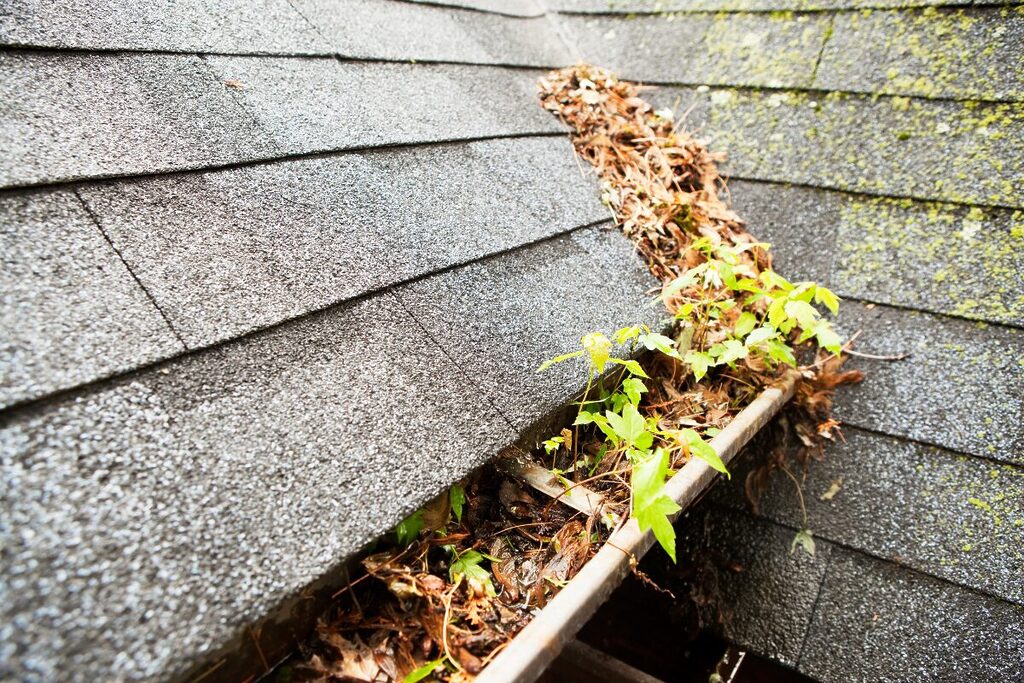 dirty gutters