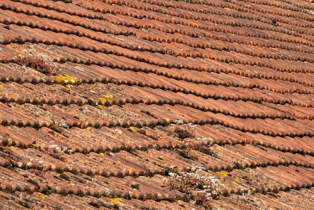 sagging roof area